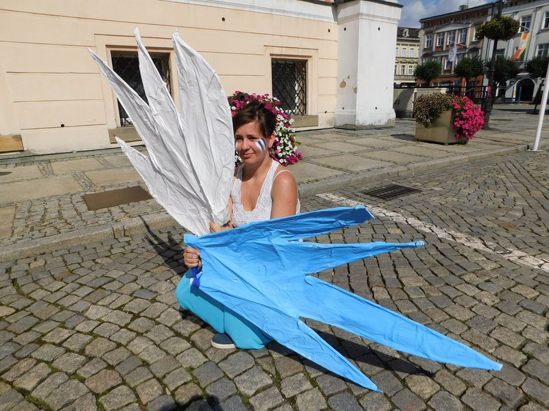 Rozwinęli skrzydła nad miastem (kilka zdjęć)