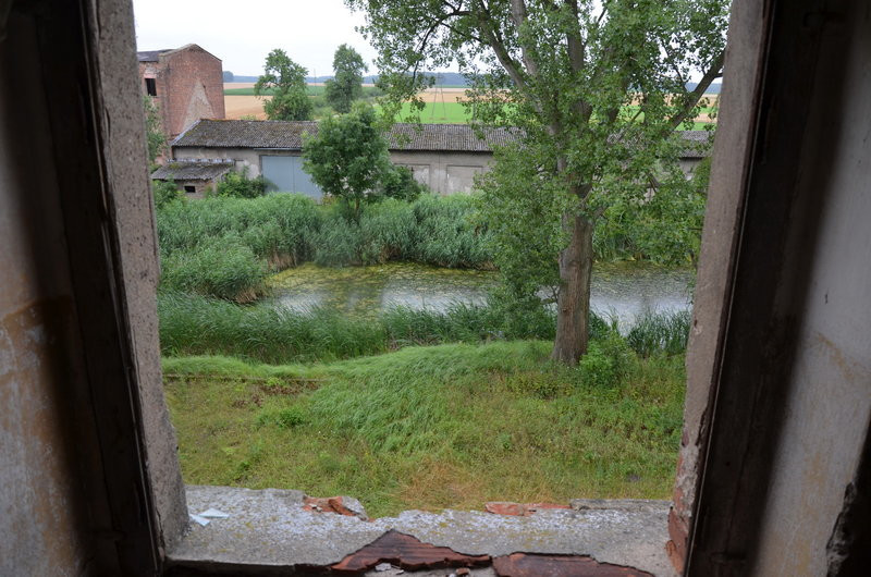 Pałac w Zbarzewie na sprzedaż (zdjęcia)