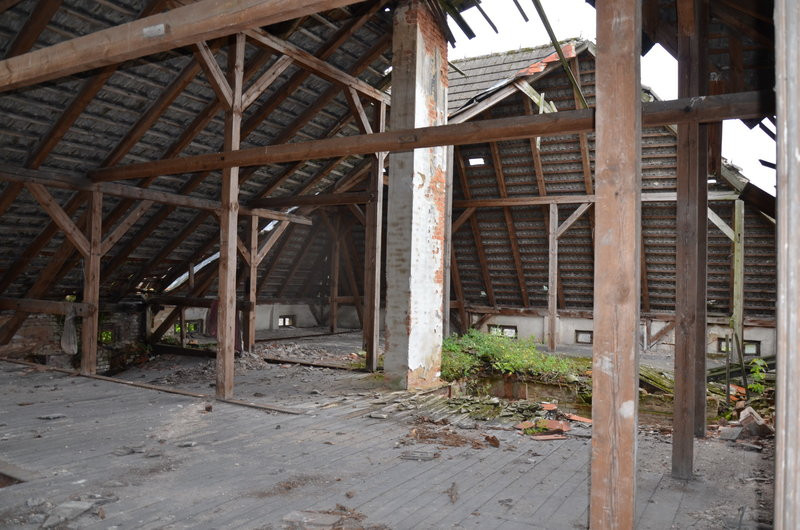 Pałac w Zbarzewie na sprzedaż (zdjęcia)