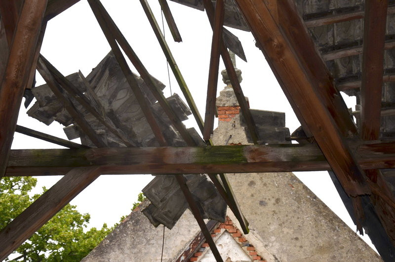 Pałac w Zbarzewie na sprzedaż (zdjęcia)