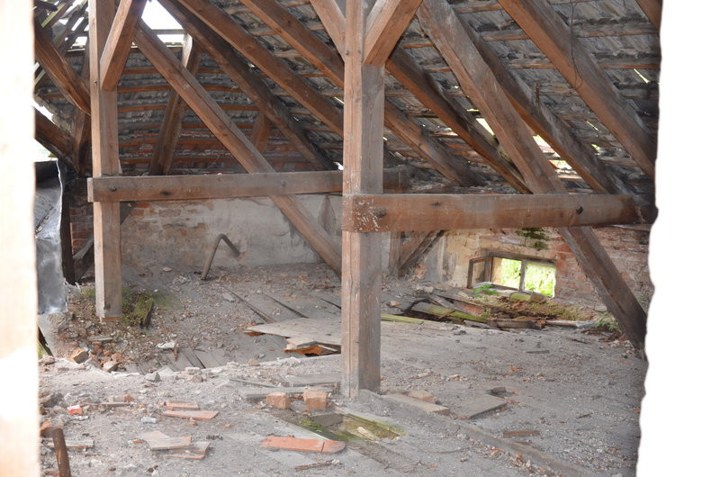 Pałac w Zbarzewie na sprzedaż (zdjęcia)