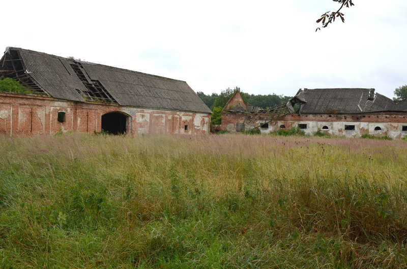 Pałac w Zbarzewie na sprzedaż (zdjęcia)