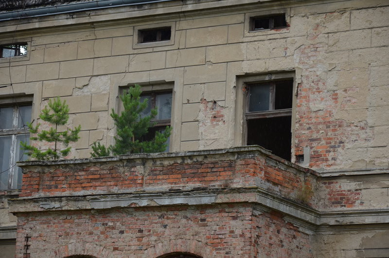 Pałac w Zbarzewie na sprzedaż (zdjęcia)