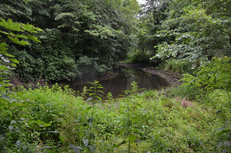 Pałac w Zbarzewie na sprzedaż (zdjęcia)