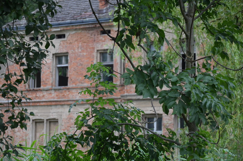 Pałac w Zbarzewie na sprzedaż (zdjęcia)