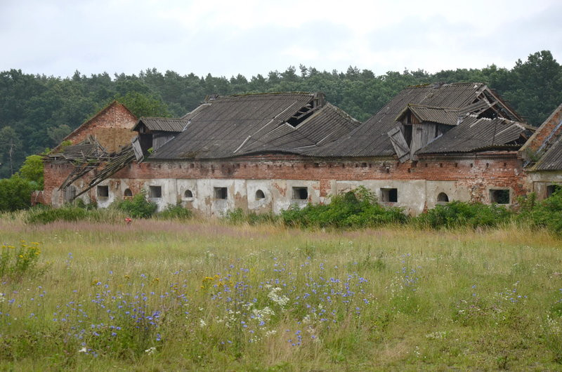 Pałac w Zbarzewie na sprzedaż (zdjęcia)