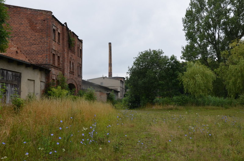 Pałac w Zbarzewie na sprzedaż (zdjęcia)