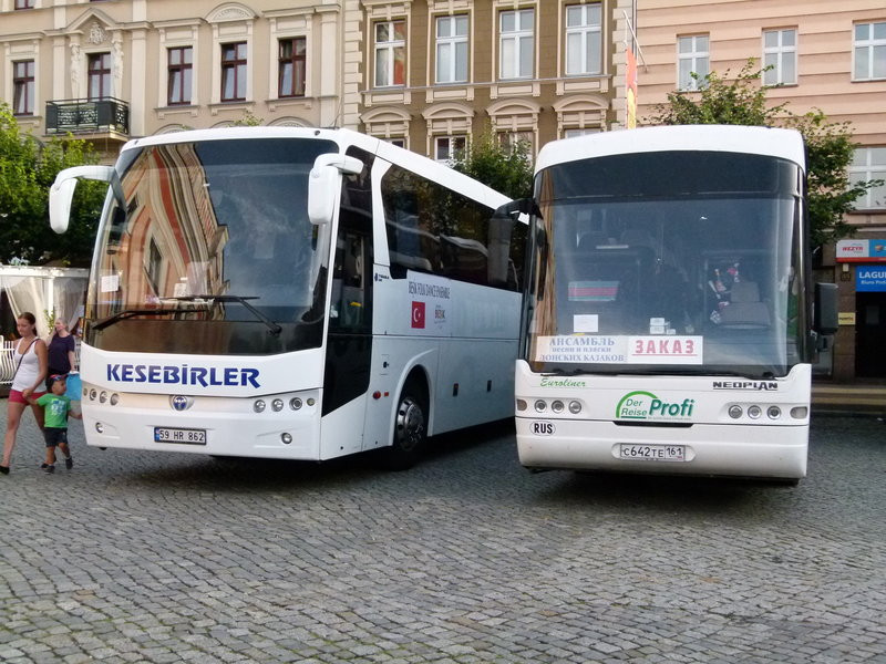 Światowy folklor na leszczyńskim rynku (zdjęcia)