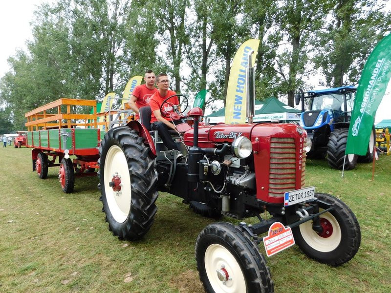 Warkot starych ciągników i maszyn (zdjęcia)