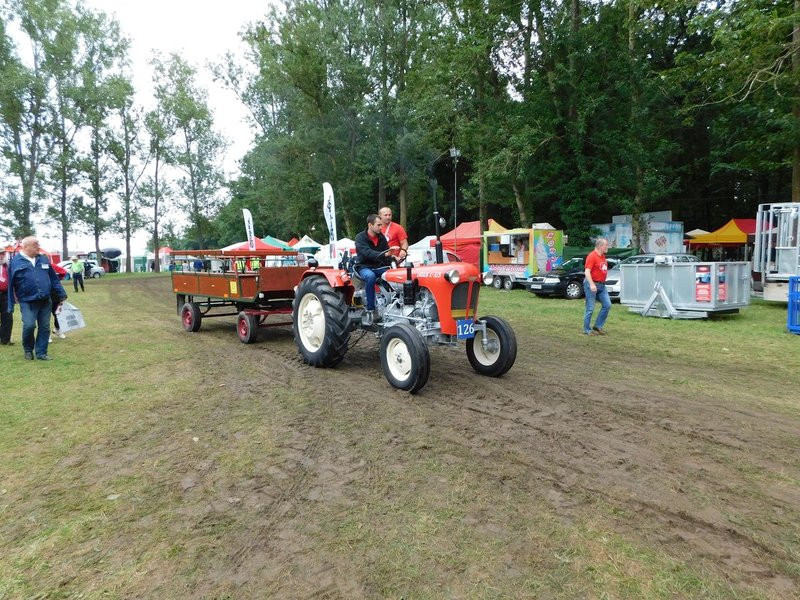 Warkot starych ciągników i maszyn (zdjęcia)