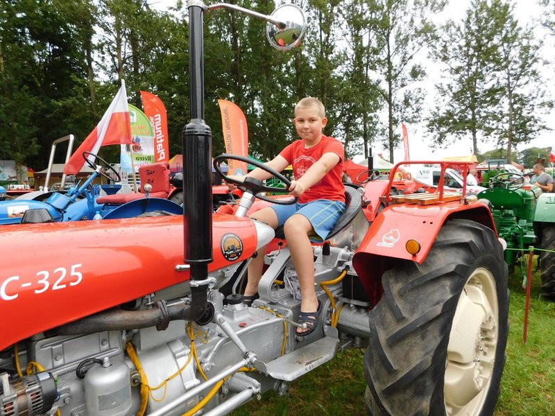 Warkot starych ciągników i maszyn (zdjęcia)