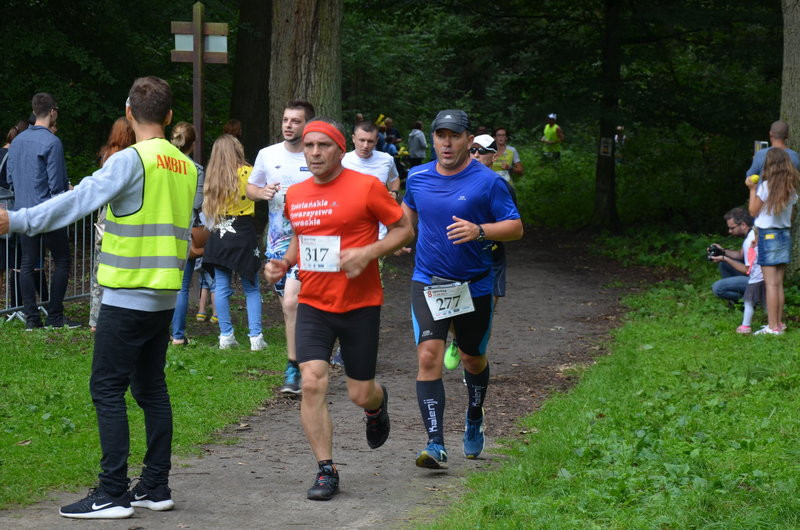 Maraton przy optymalnej pogodzie (zdjęcia)