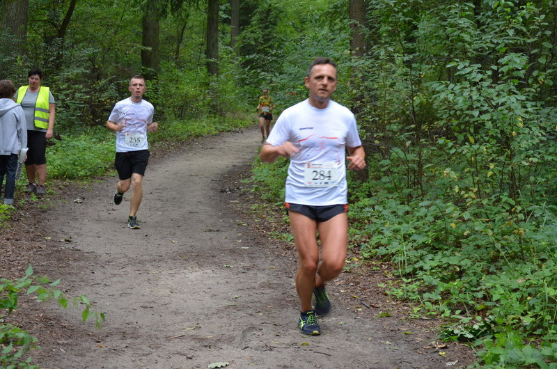 Maraton przy optymalnej pogodzie (zdjęcia)