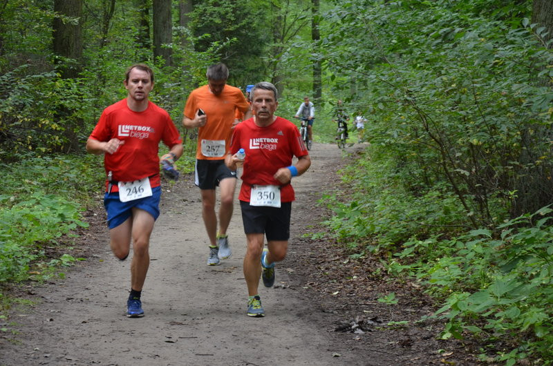 Maraton przy optymalnej pogodzie (zdjęcia)
