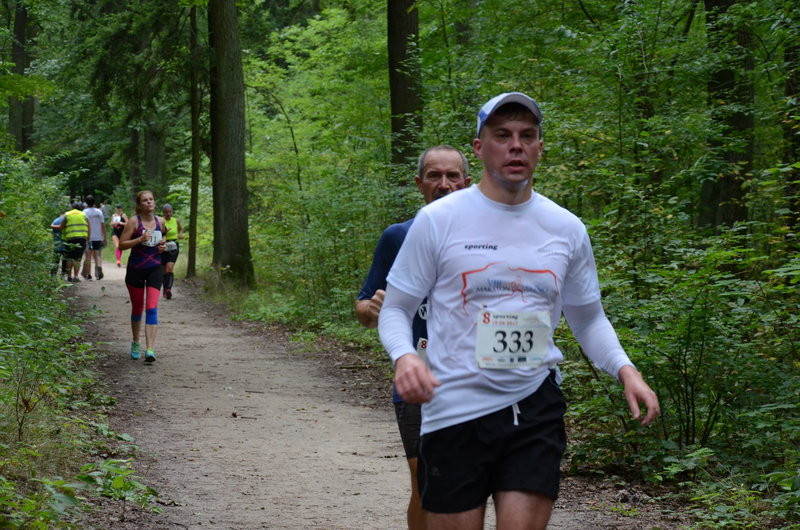 Maraton przy optymalnej pogodzie (zdjęcia)