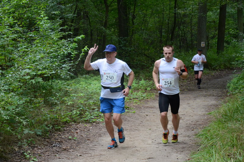Maraton przy optymalnej pogodzie (zdjęcia)
