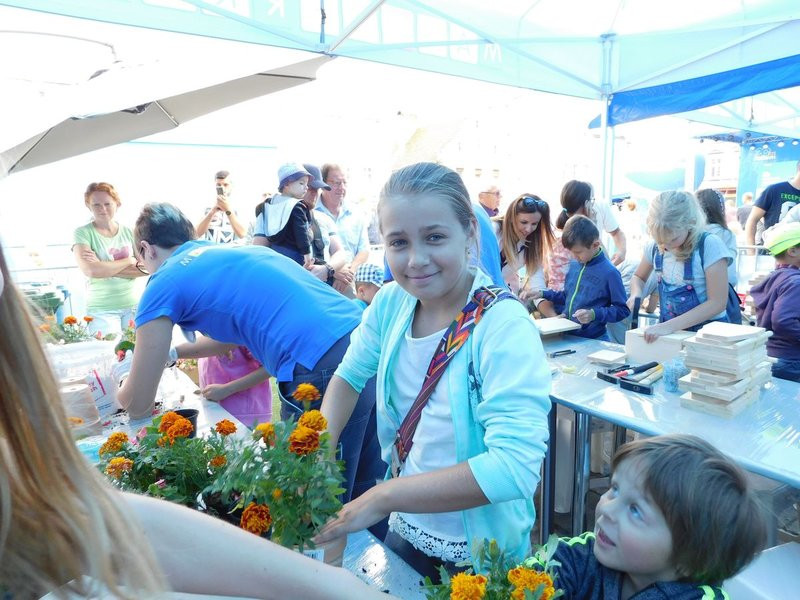 Castorama świętuje urodziny (zdjęcia)