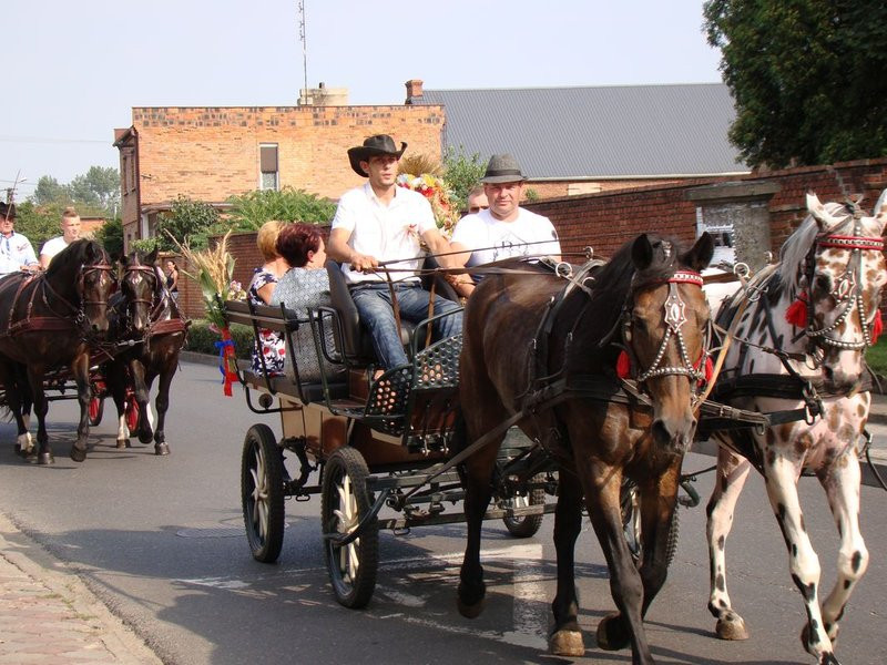 Dożynki inne niż wszystkie (zdjęcia)