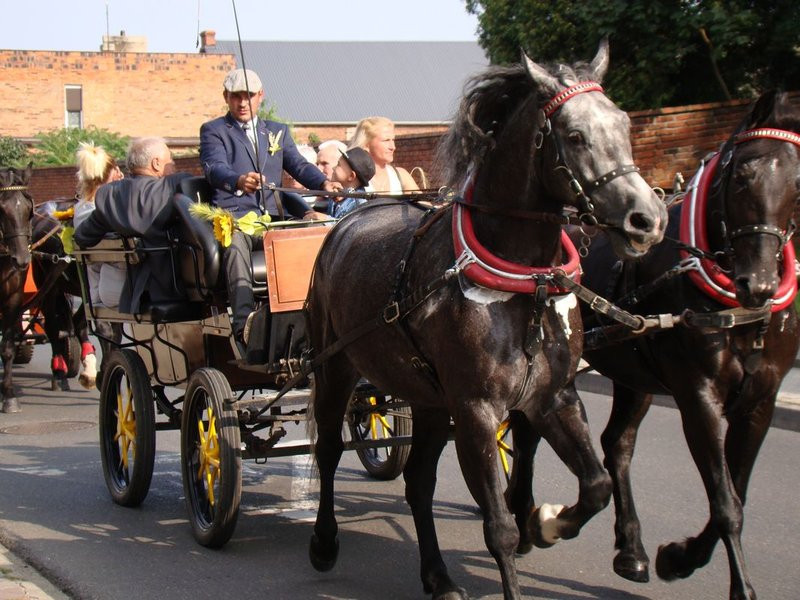 Dożynki inne niż wszystkie (zdjęcia)