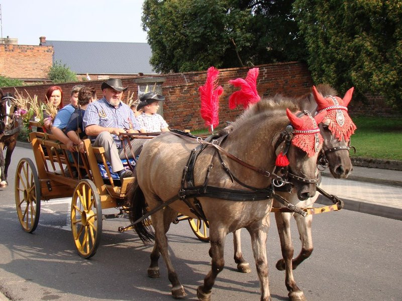 Dożynki inne niż wszystkie (zdjęcia)