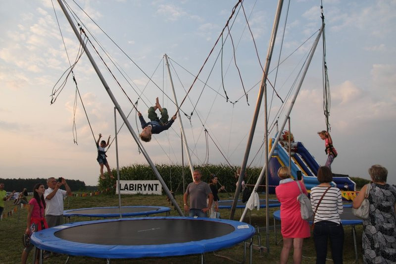 Dzień Wiatraka w Rydzynie (zdjęcia)