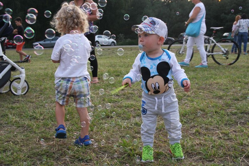 Dzień Wiatraka w Rydzynie (zdjęcia)