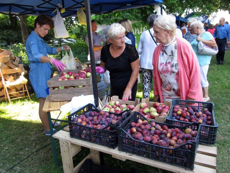 W niedzielę leszczynianie najedli się w parku (zdjęcia)