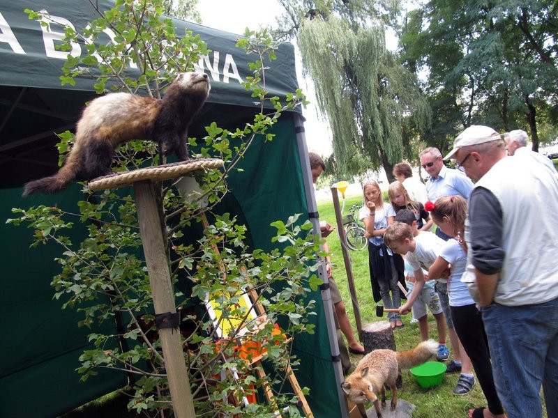 W niedzielę leszczynianie najedli się w parku (zdjęcia)