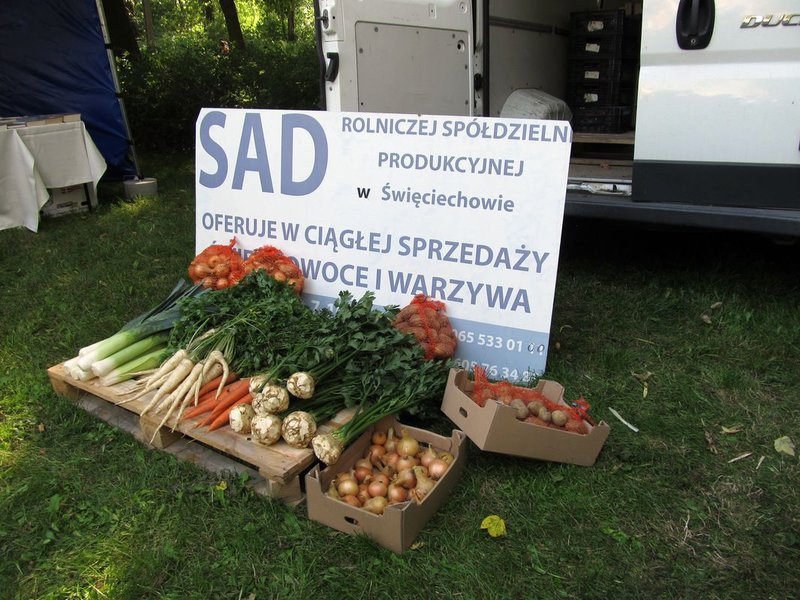 W niedzielę leszczynianie najedli się w parku (zdjęcia)