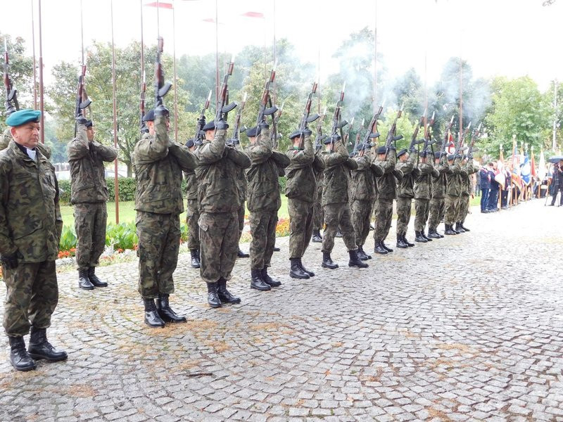 Polacy stanęli w obronie Ojczyzny (zdjęcia)
