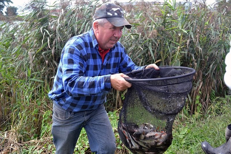 Kociugi wędkowały w Robczysku (zdjęcia)