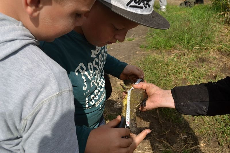 Kociugi wędkowały w Robczysku (zdjęcia)