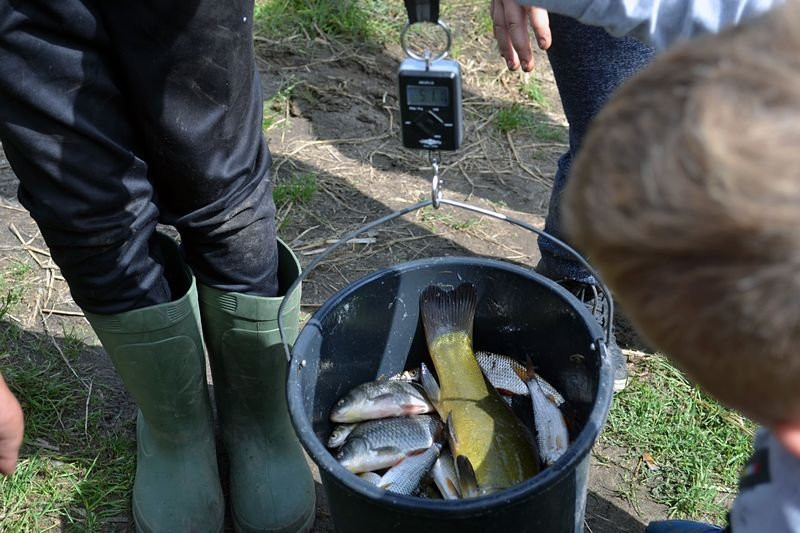 Kociugi wędkowały w Robczysku (zdjęcia)