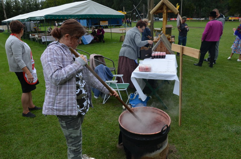 Pokazali jak na wsi bywało (zdjęcia)