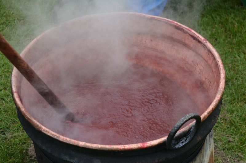 Pokazali jak na wsi bywało (zdjęcia)