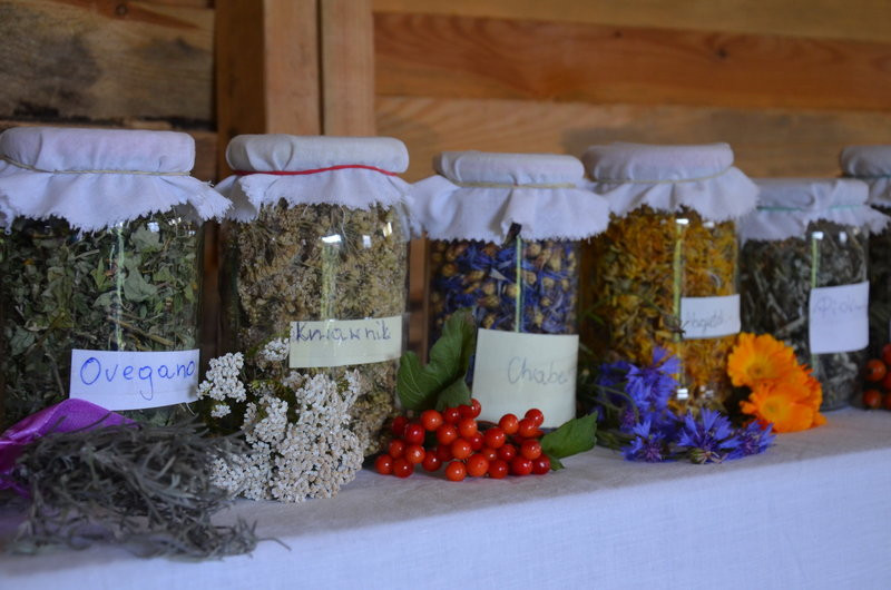 Pokazali jak na wsi bywało (zdjęcia)