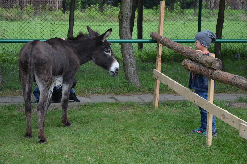 Pokazali jak na wsi bywało (zdjęcia)