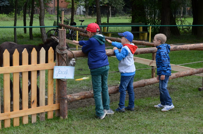 Pokazali jak na wsi bywało (zdjęcia)
