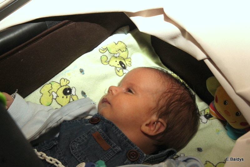 Trzecia gala Leszczyńskiego Becikowego (zdjęcia)