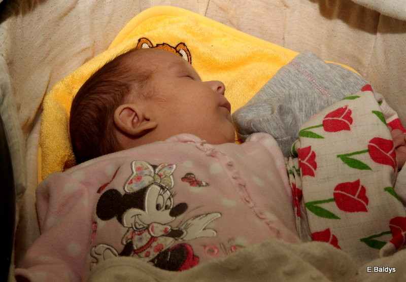 Trzecia gala Leszczyńskiego Becikowego (zdjęcia)