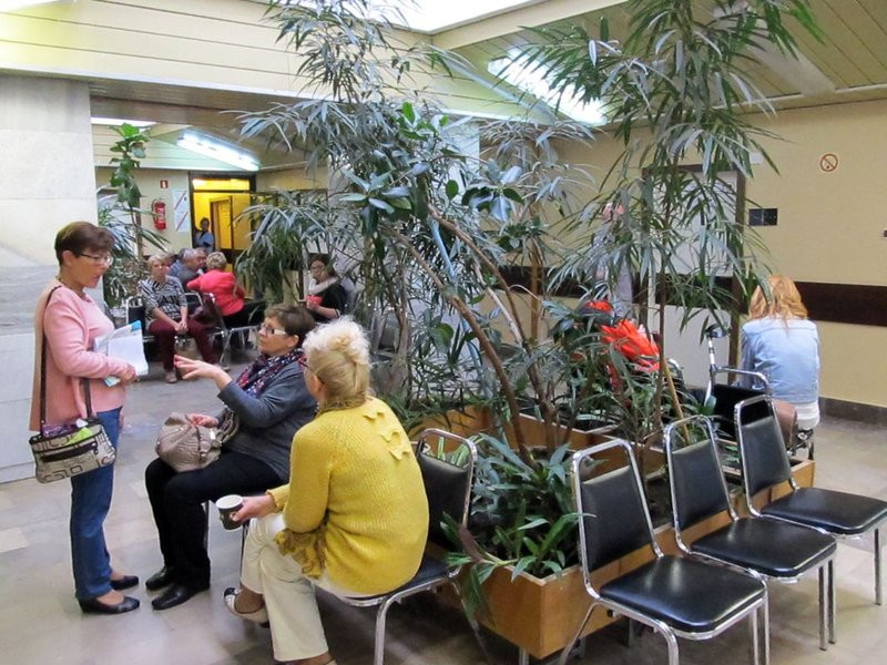 Biała Niedziela w Lesznie (zdjęcia)