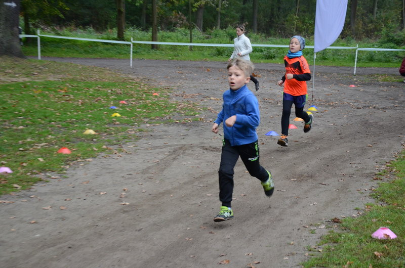 Miasto doposaży Parkrun Leszno (zdjęcia)
