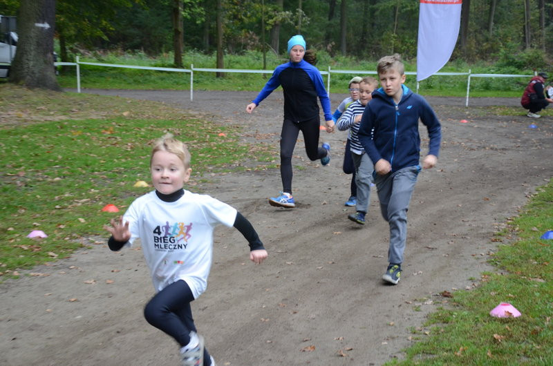 Miasto doposaży Parkrun Leszno (zdjęcia)