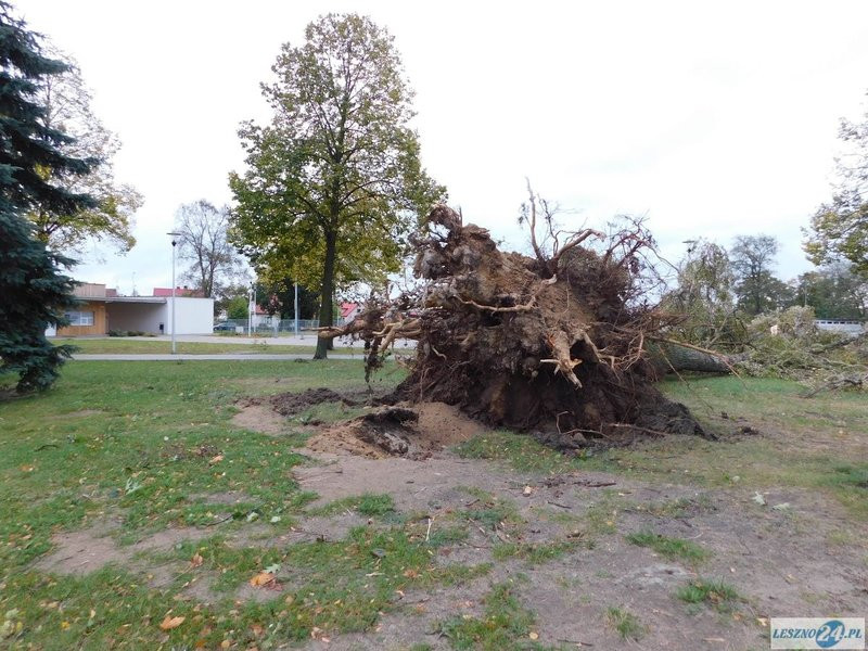 Park 1000-lecia zamknięty! (zdjęcia)