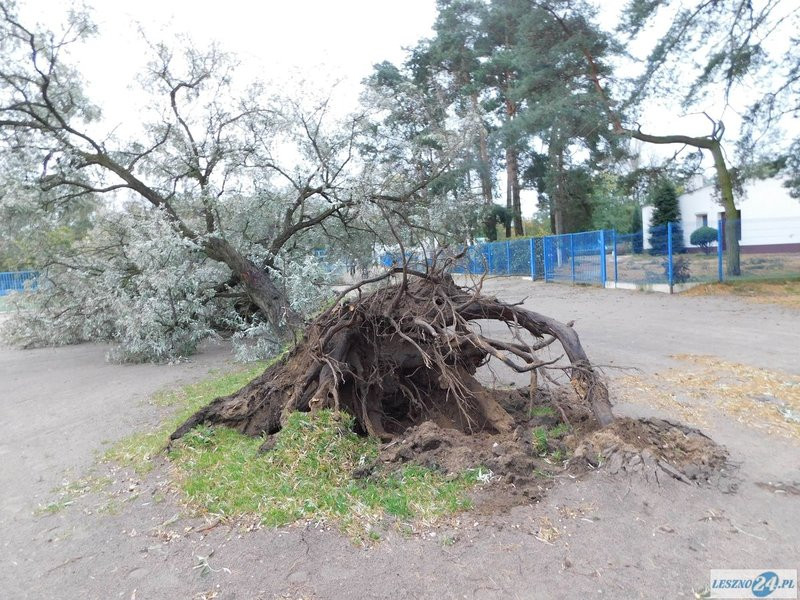 Park 1000-lecia zamknięty! (zdjęcia)