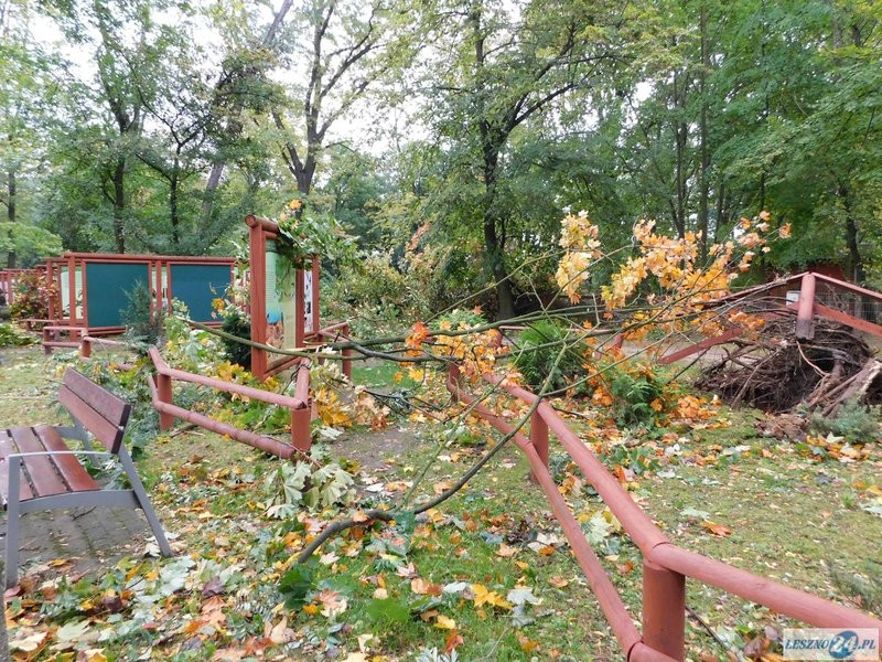 Park 1000-lecia zamknięty! (zdjęcia)