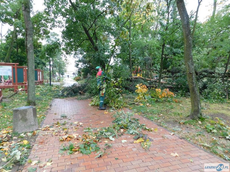 Park 1000-lecia zamknięty! (zdjęcia)