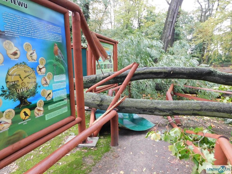 Park 1000-lecia zamknięty! (zdjęcia)