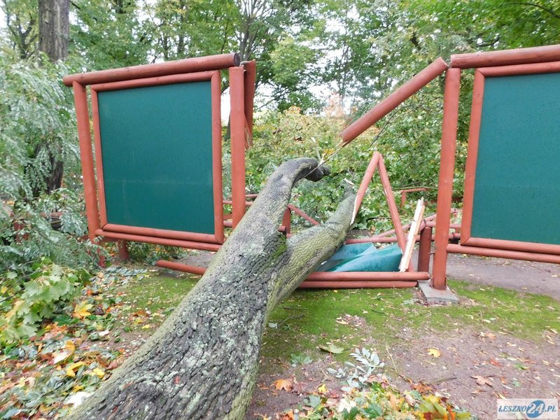 Park 1000-lecia zamknięty! (zdjęcia)