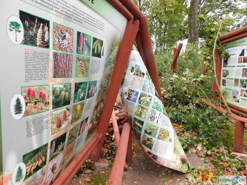 Park 1000-lecia zamknięty! (zdjęcia)